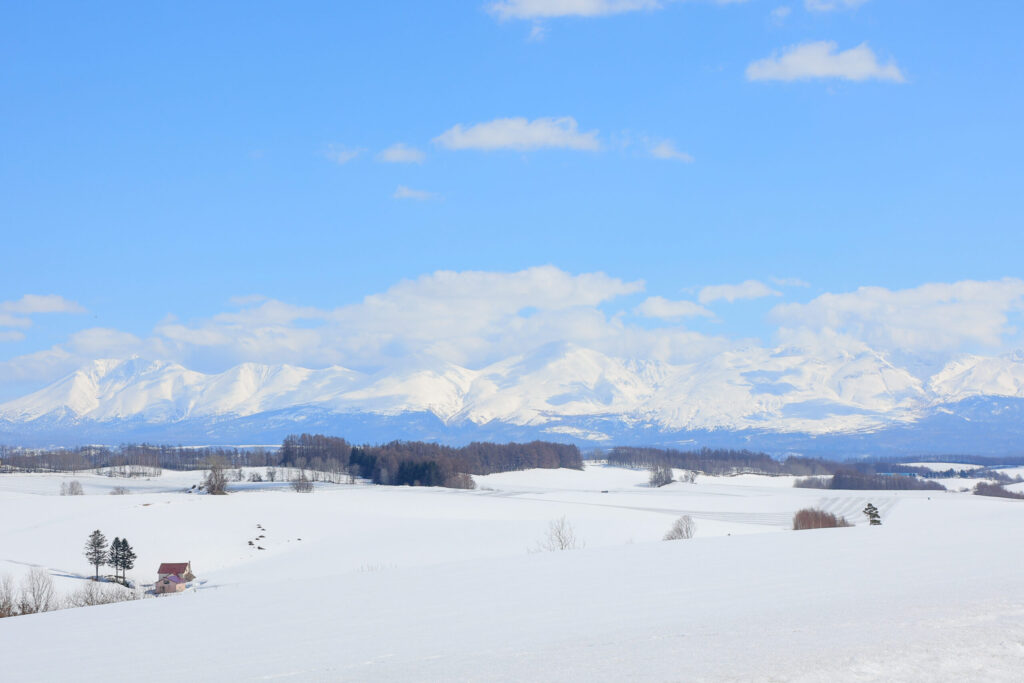美瑛町