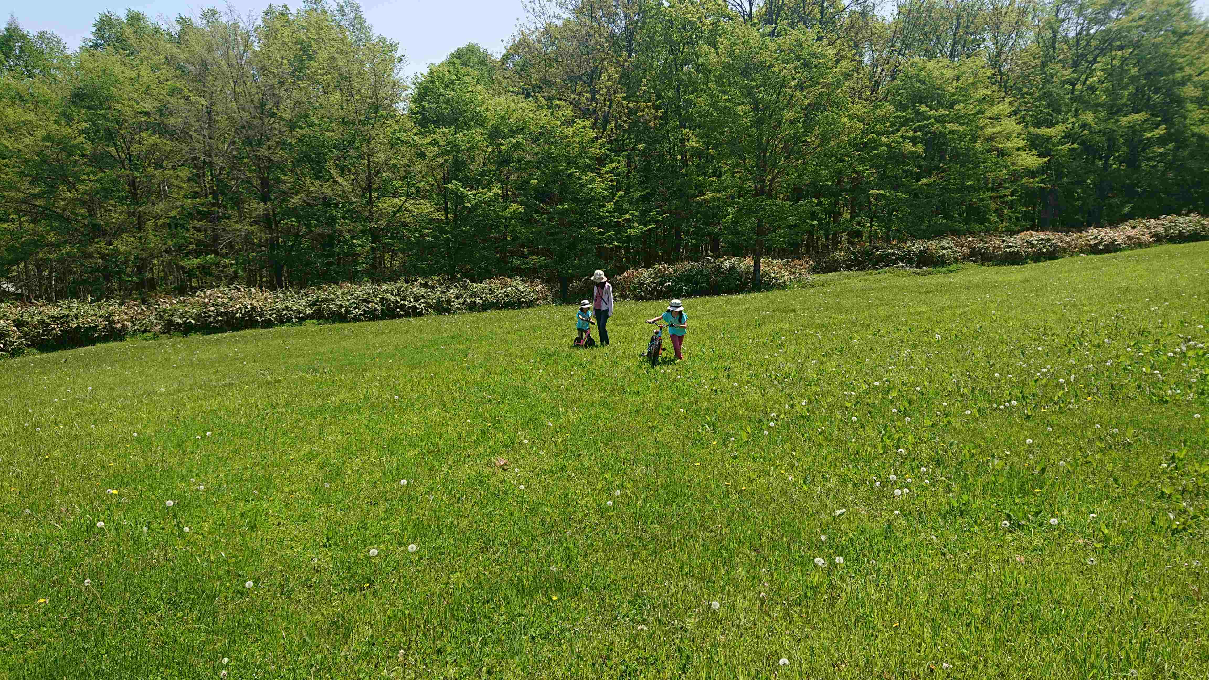 カムイの杜公園