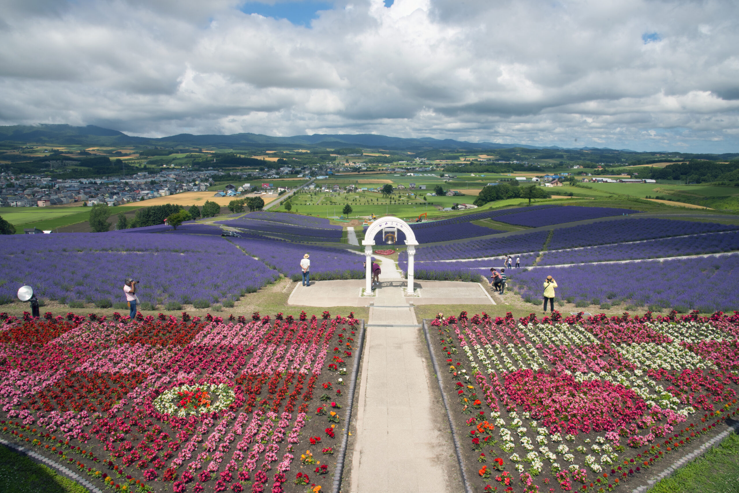 Sunrise Park Lavender Garden
