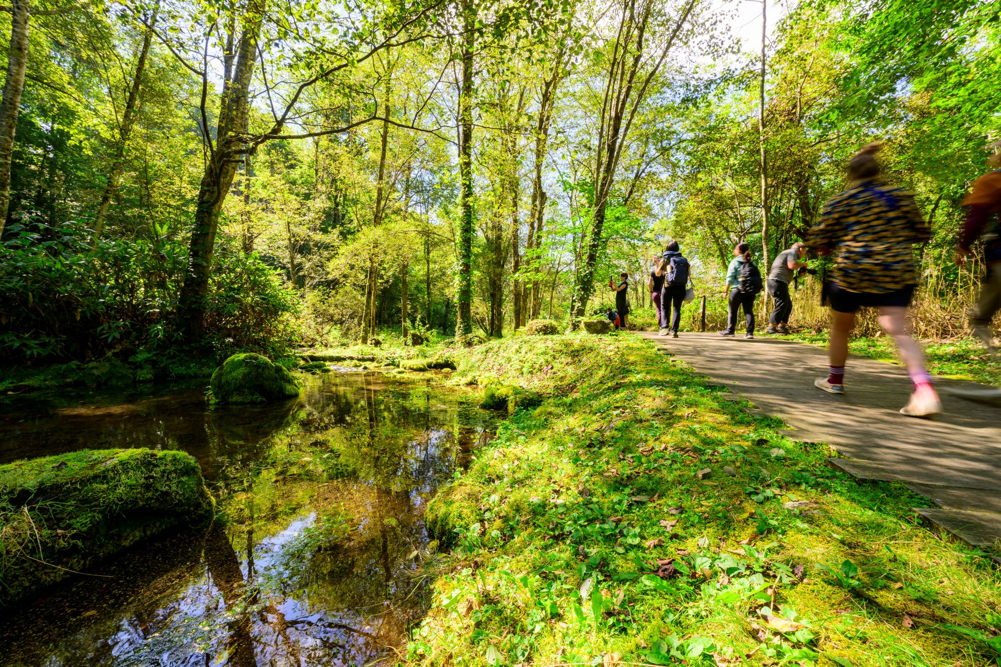大雪旭岳源水公園