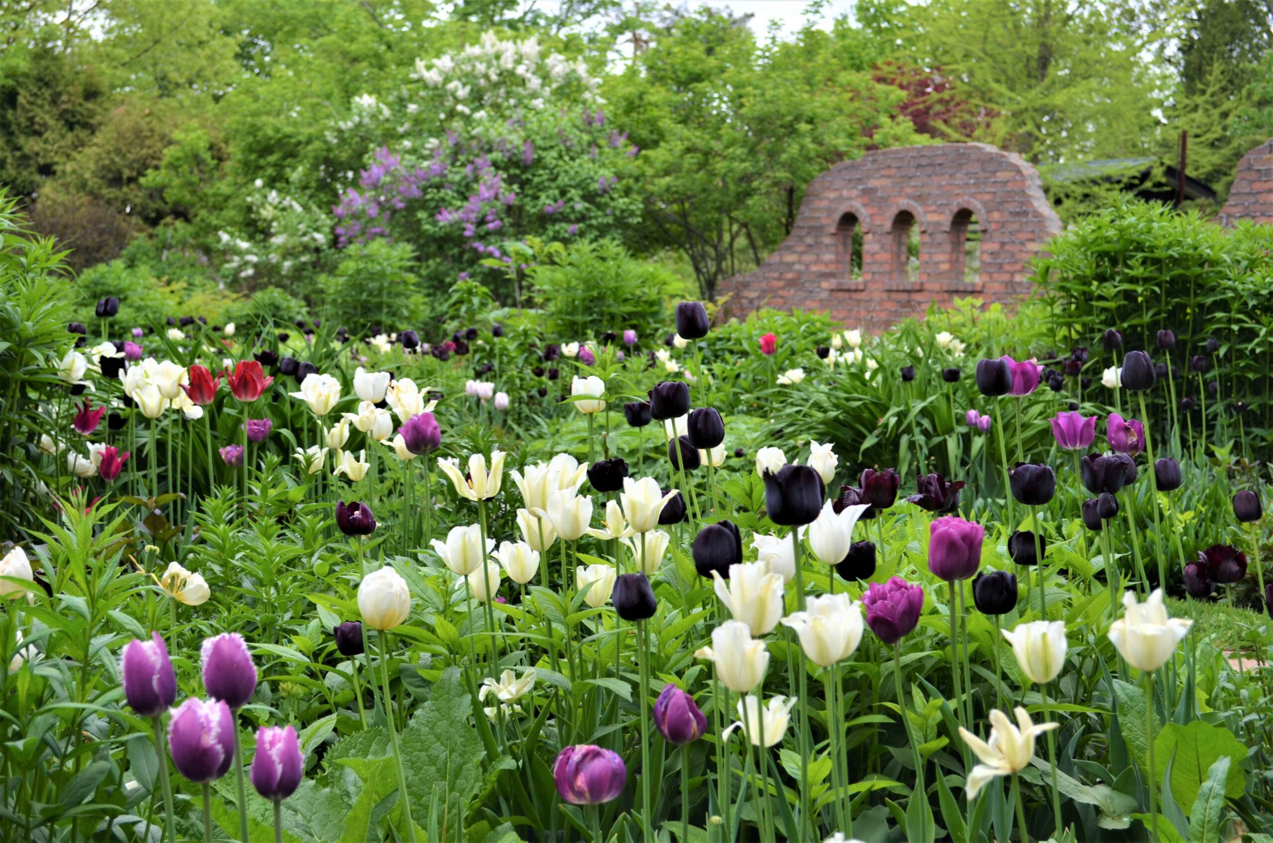上野ファーム（北海道ガーデン街道）