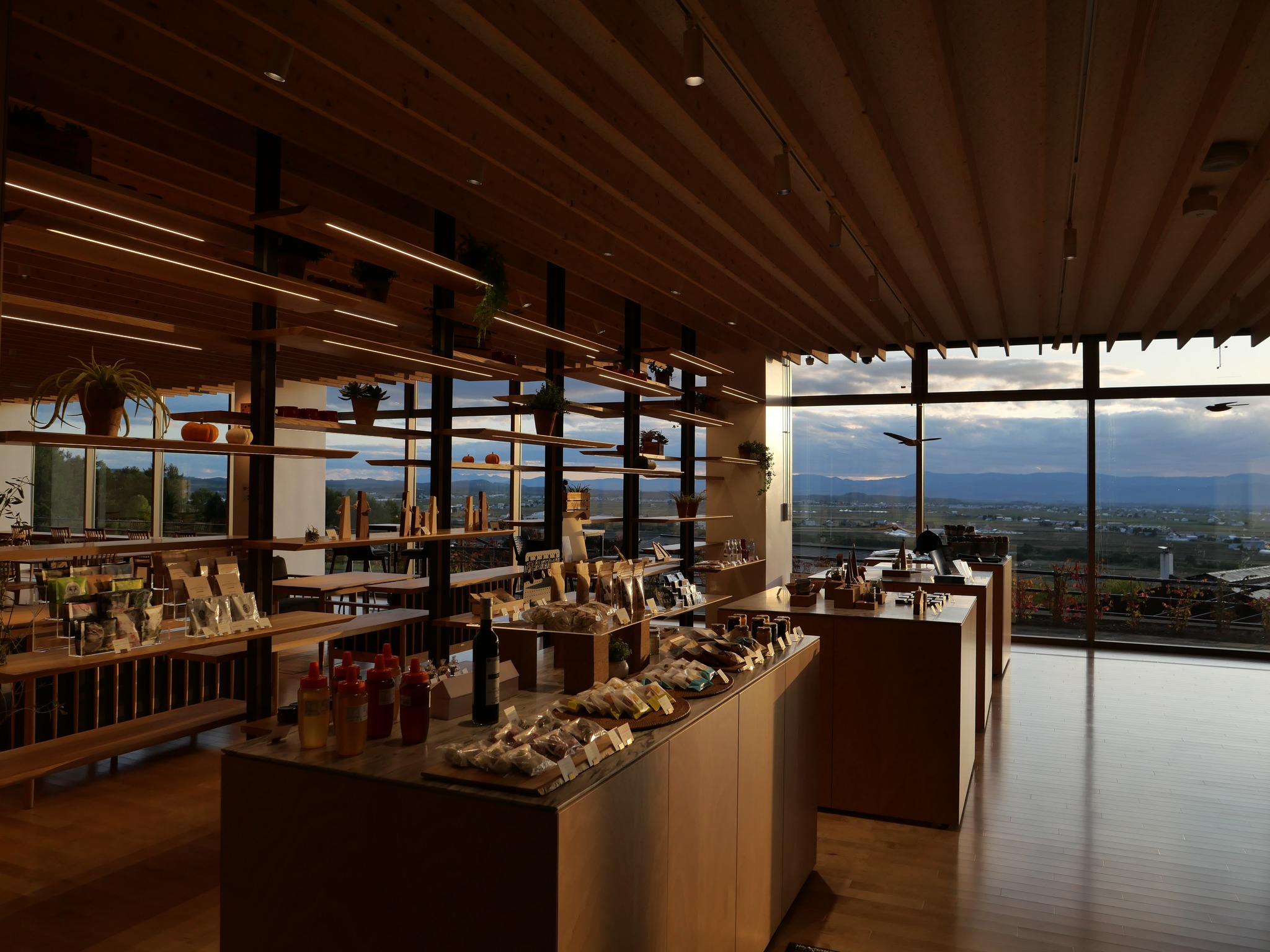 キトウシの森　きとろん