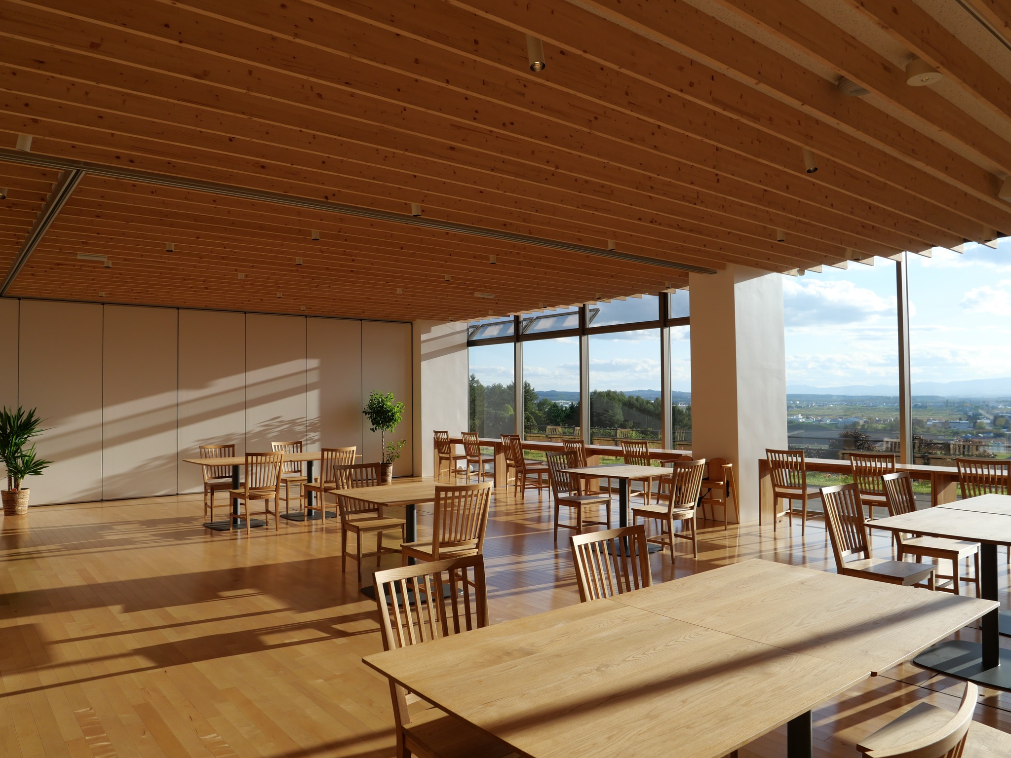 キトウシの森　きとろん