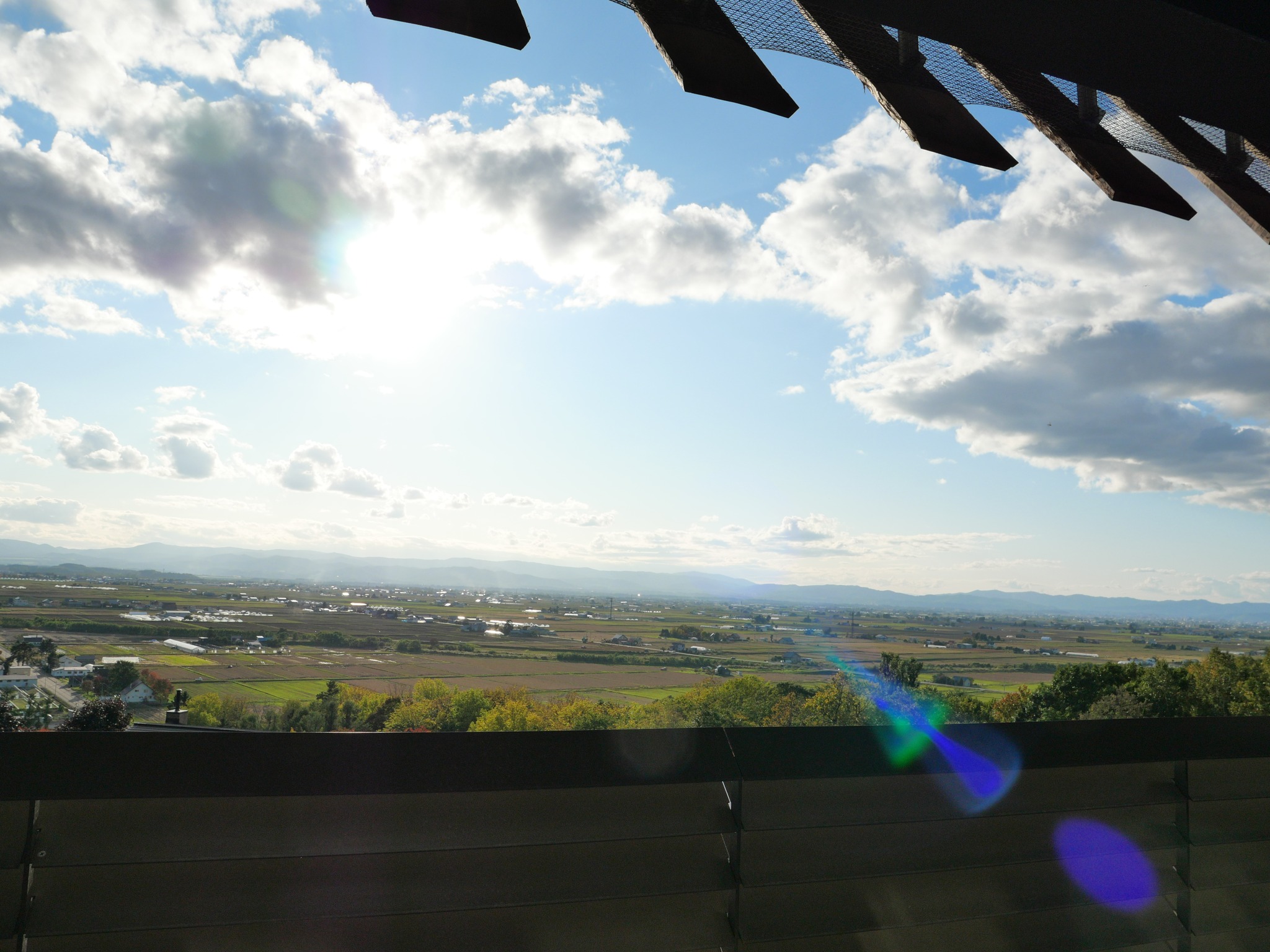 キトウシの森　きとろん