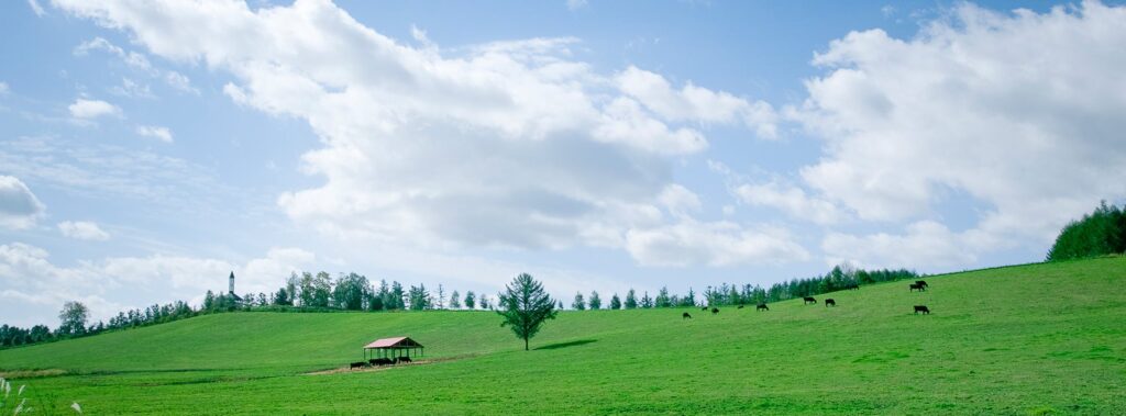 ファームズ千代田