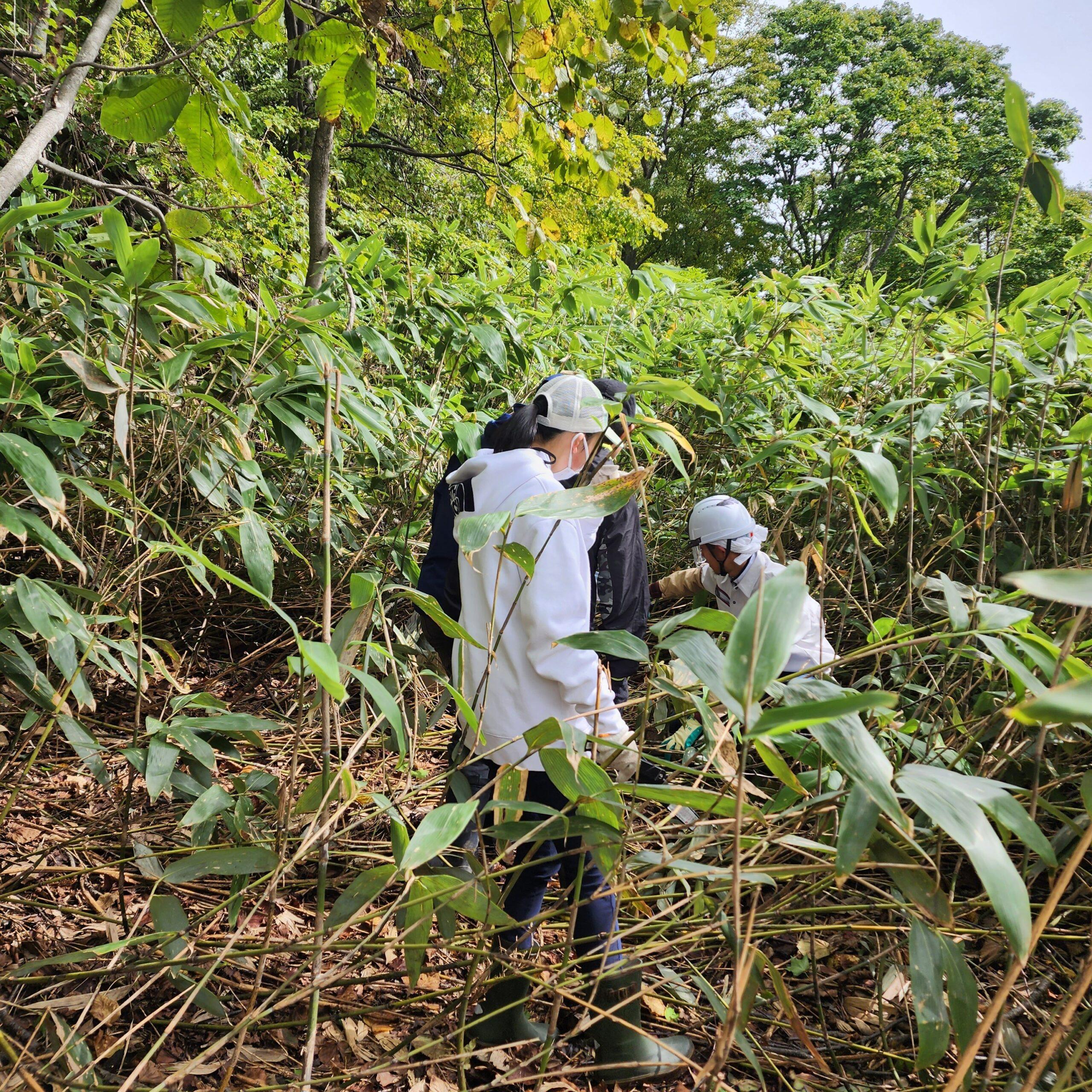 【比布町・工芸体験】北の竹工房の職人と行く千島笹採取＆絶景コーヒータイム