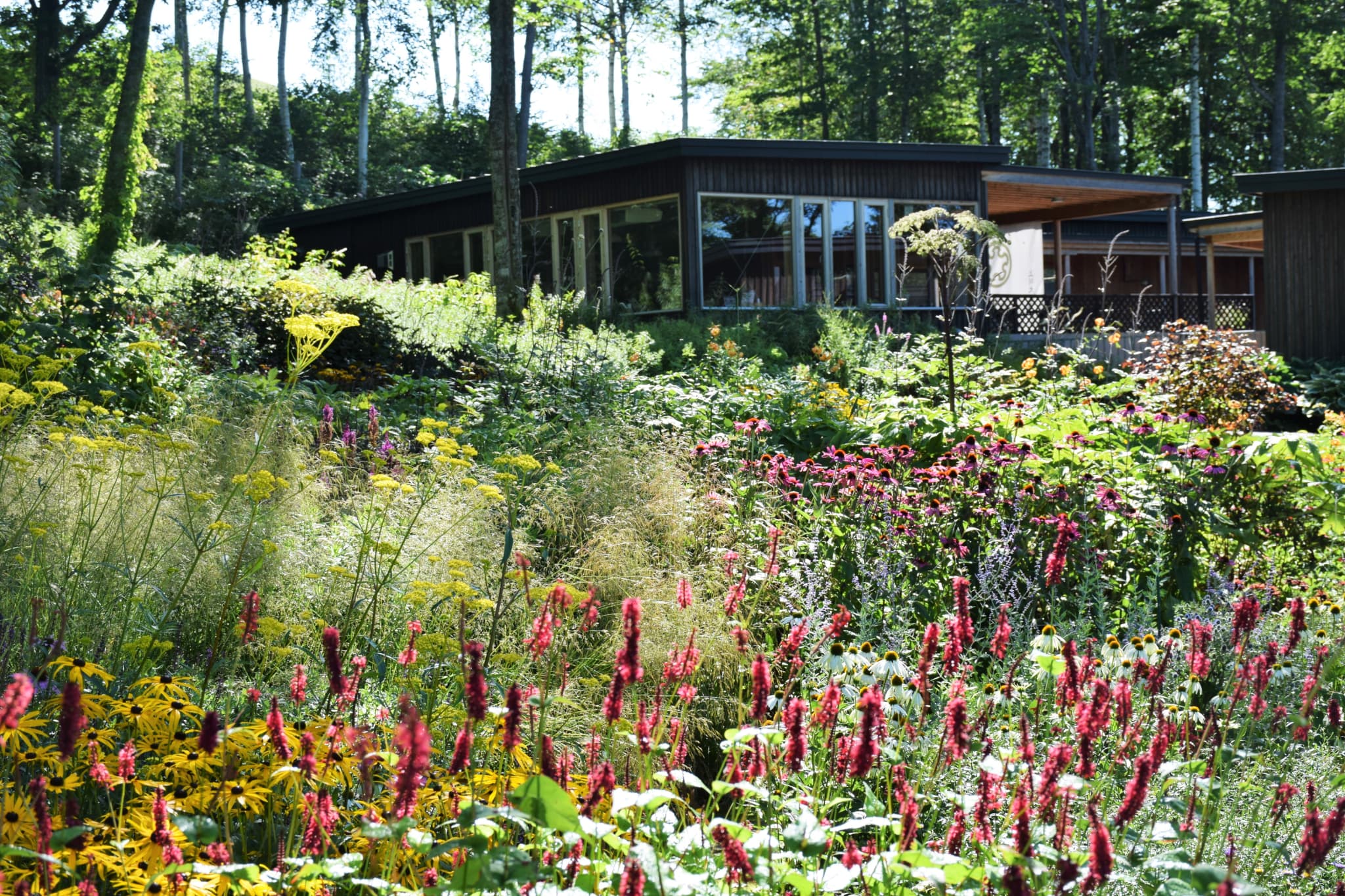 大雪 森のガーデン（北海道ガーデン街道）