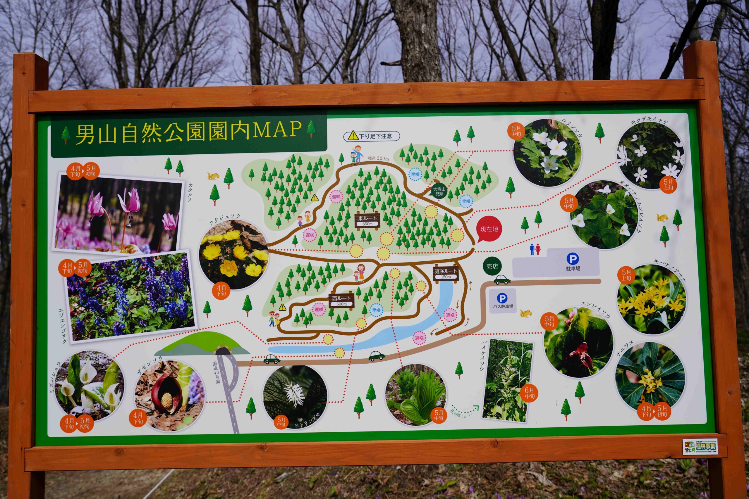男山自然公園