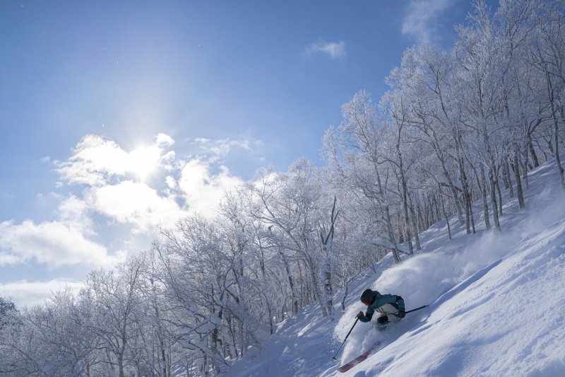 富良野スキー場