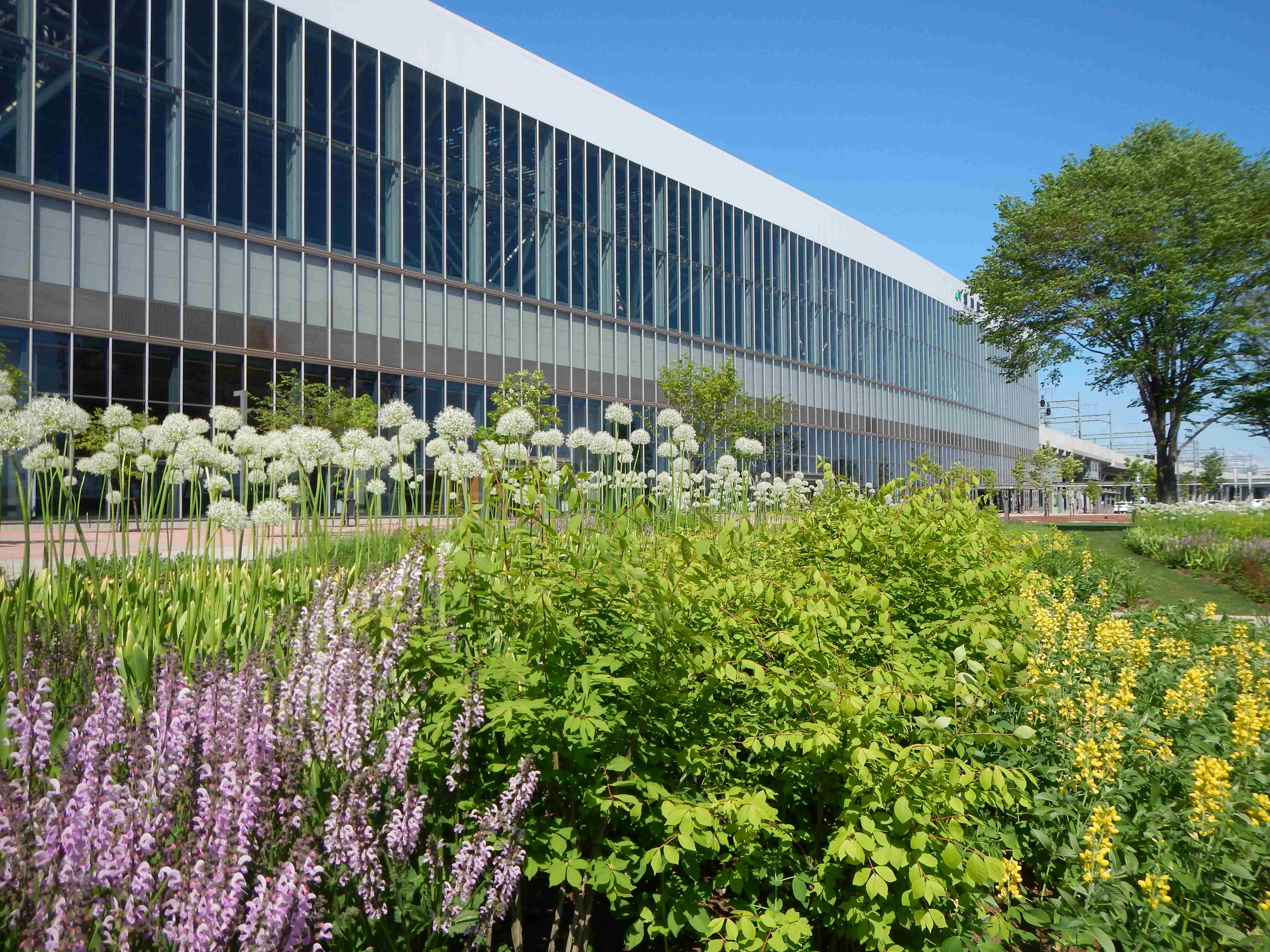 あさひかわ北彩都ガーデン