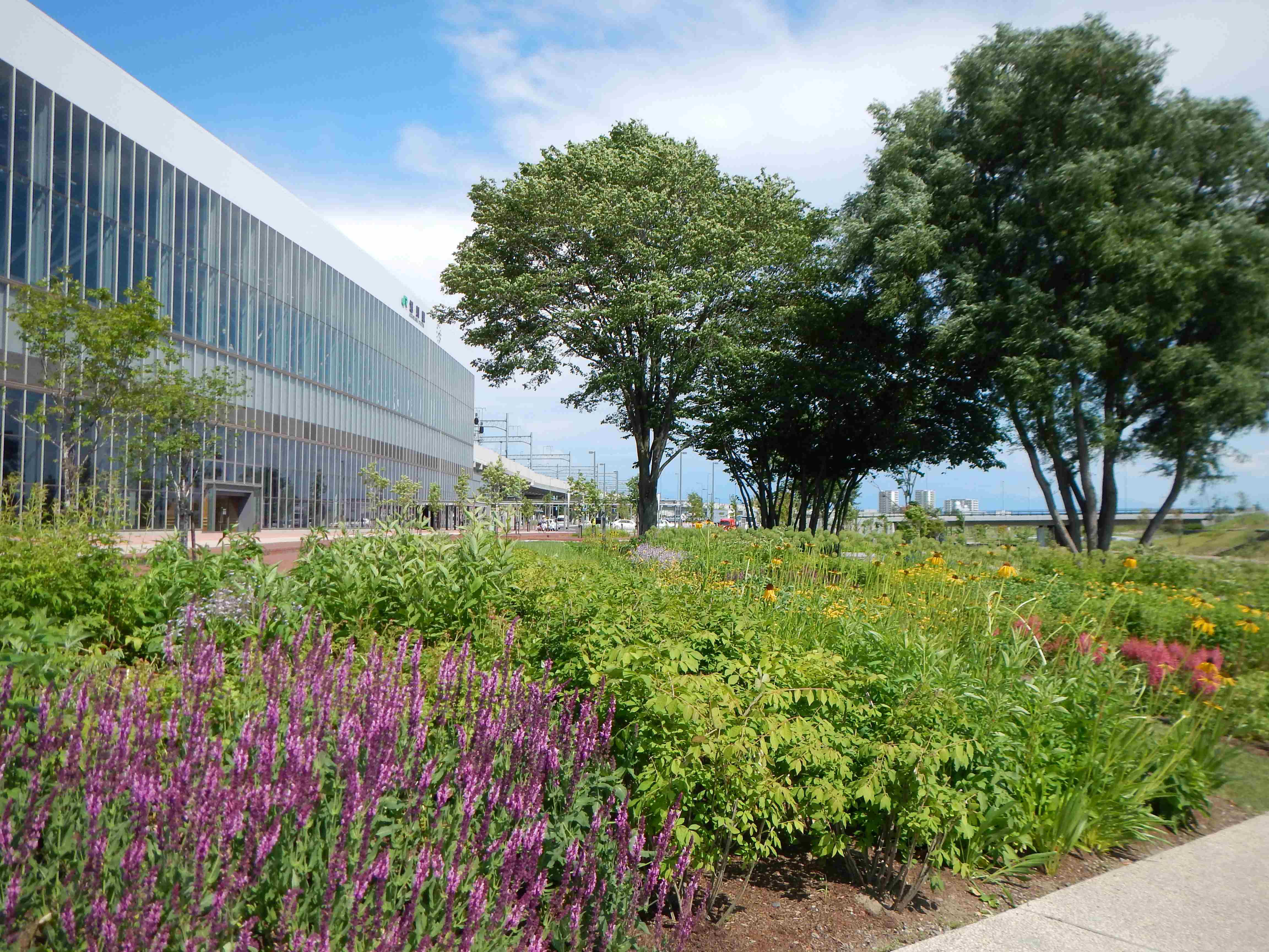 あさひかわ北彩都ガーデン