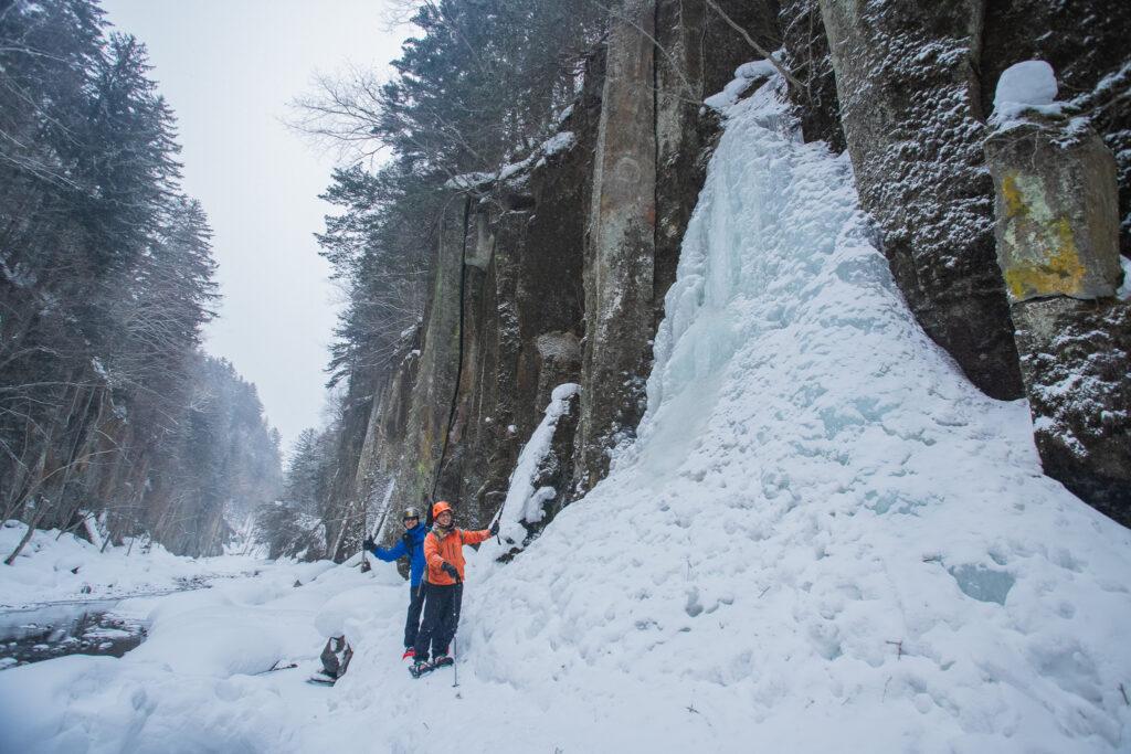 【Nature Guide】STAY FOREST