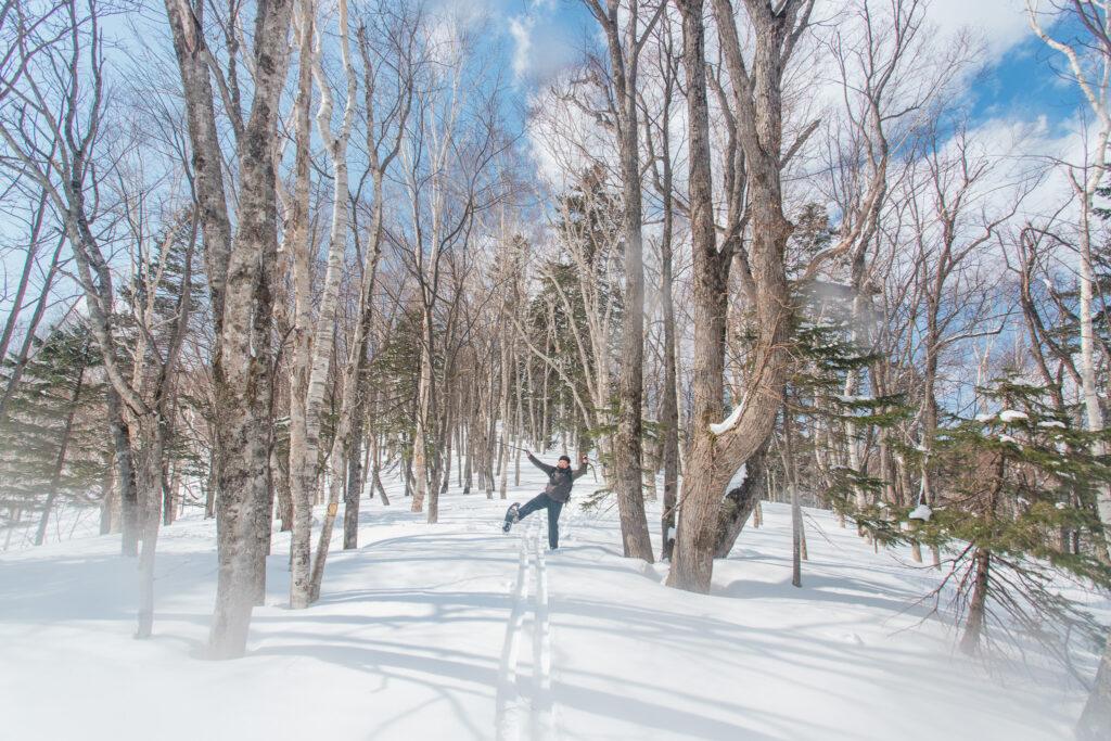 【Nature Guide】STAY FOREST