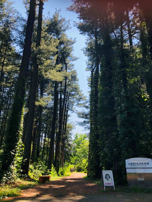 外国樹種見本林