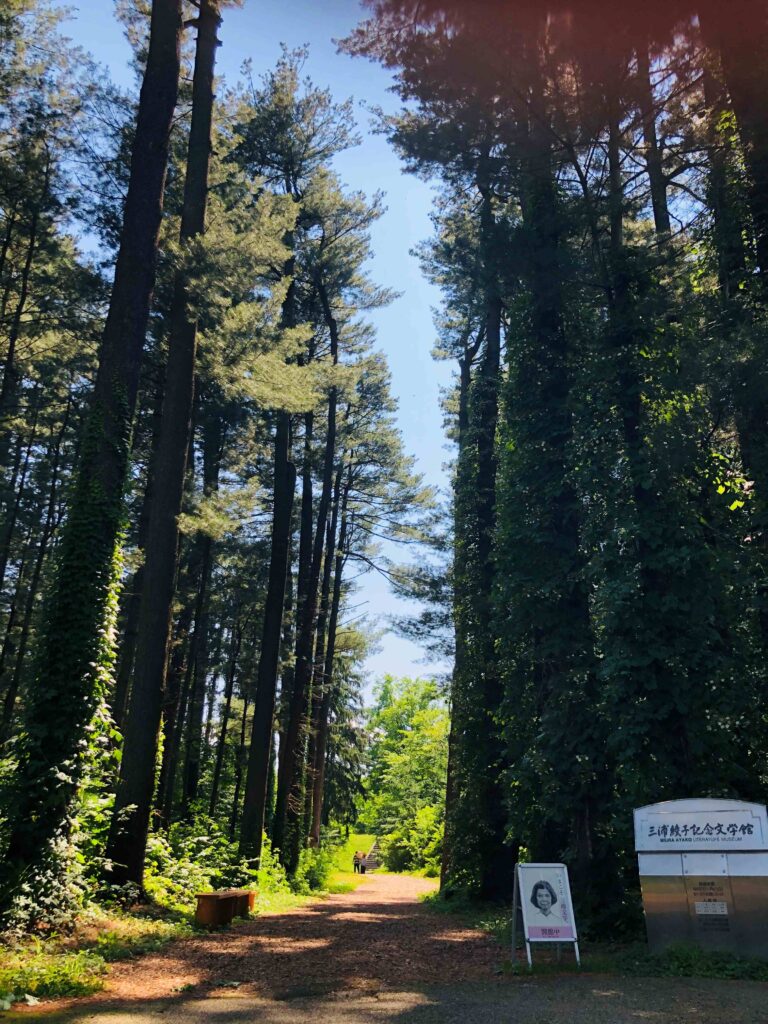 外国樹種見本林