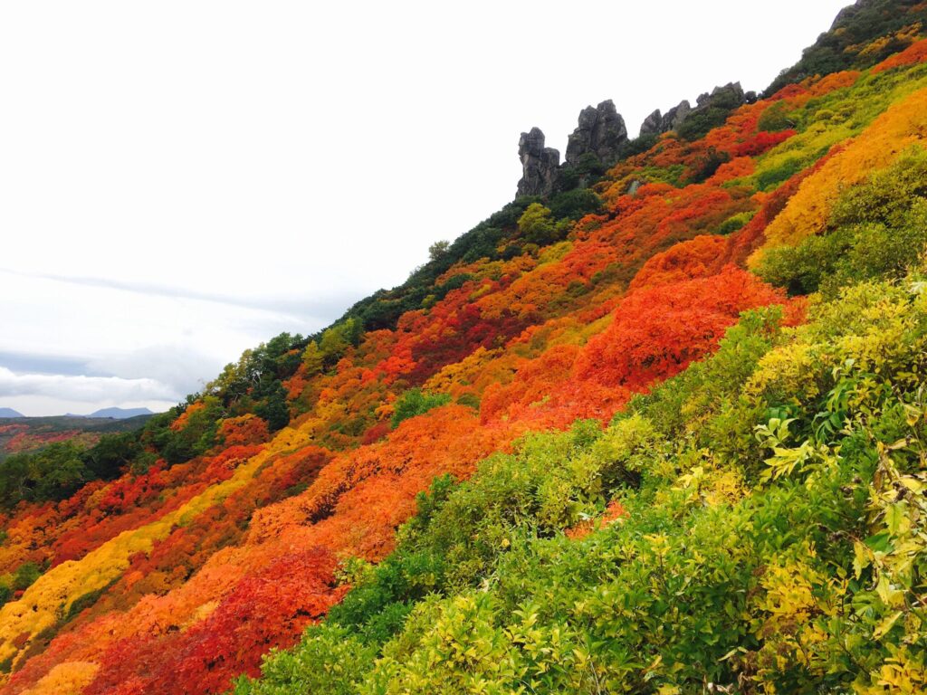 【Daisetsuzan National Park – Sounkyo】Mt.Kurodake Hiking tour