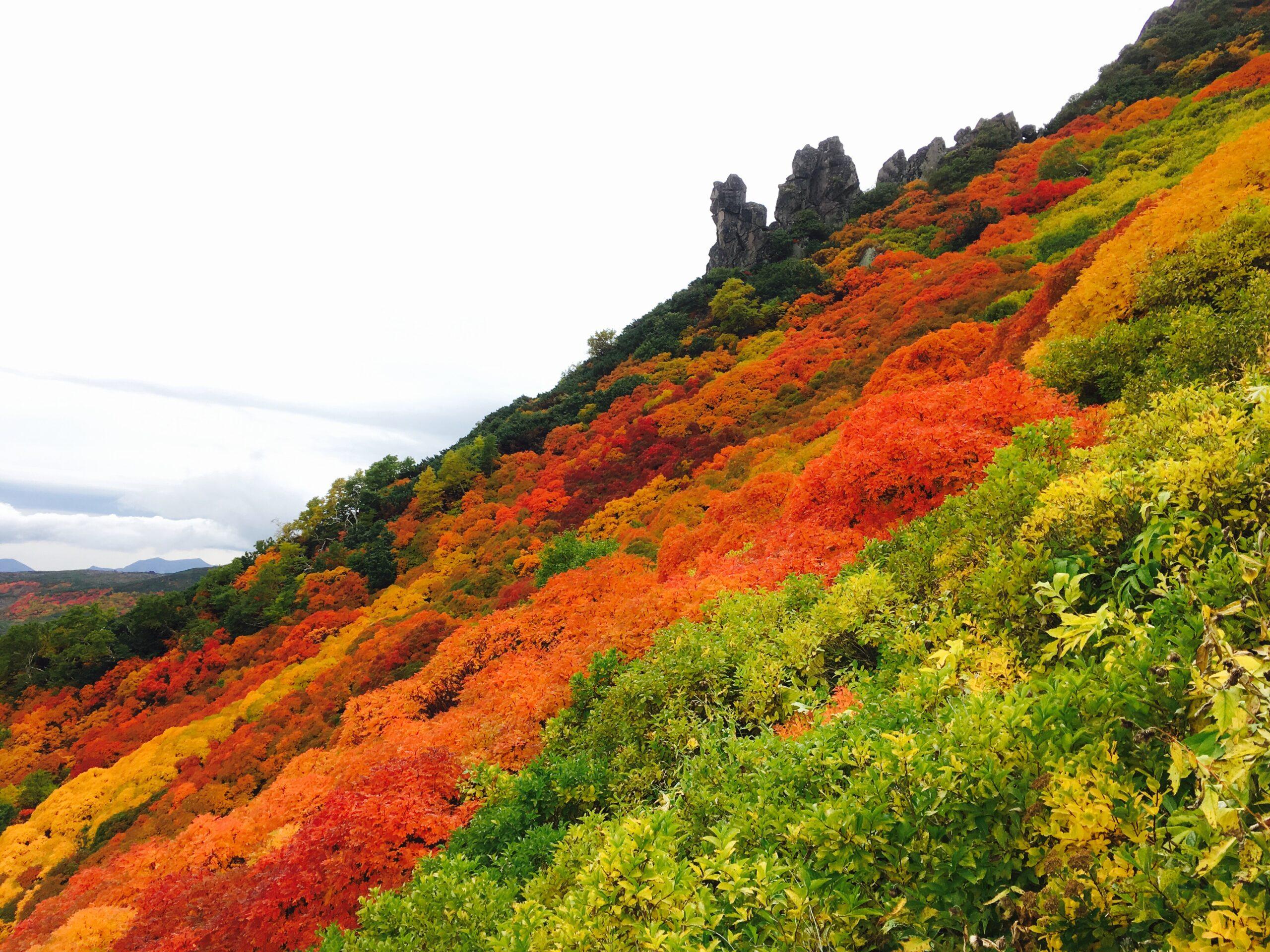 【Daisetsuzan National Park – Sounkyo】Mt.Kurodake Hiking tour