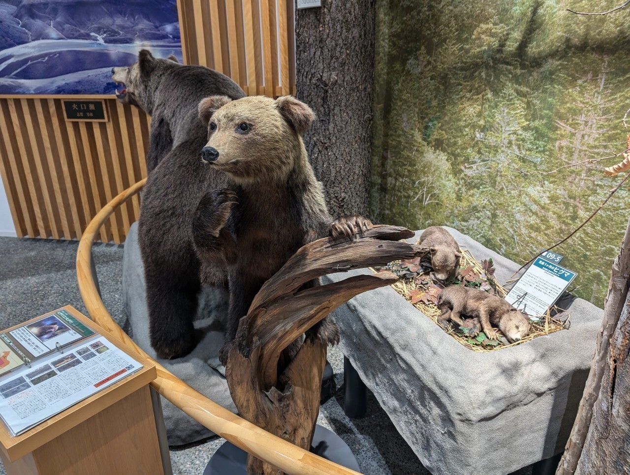 層雲峡ビジターセンター