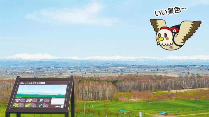 パレットヒルズ