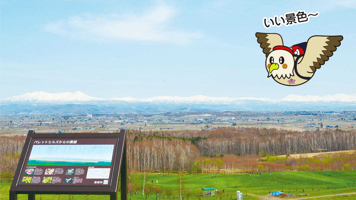 パレットヒルズ