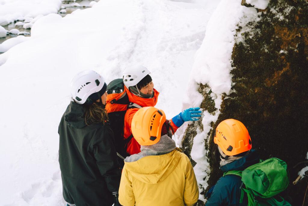 【Nature Guide】STAY FOREST
