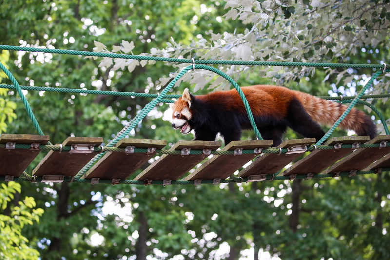 旭川市旭山動物園