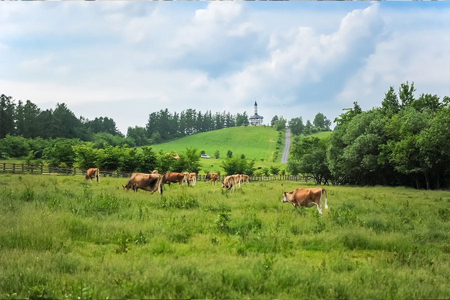 ファームズ千代田