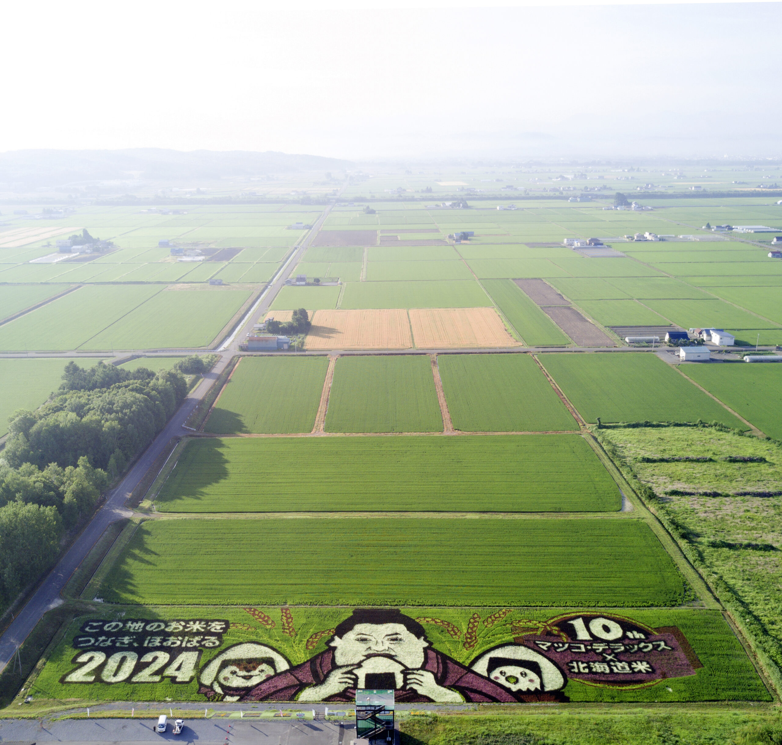 JAたいせつ田んぼアート