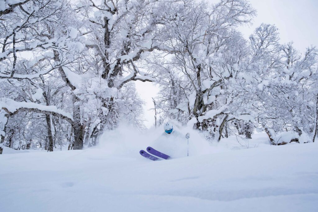 カムイスキーリンクス