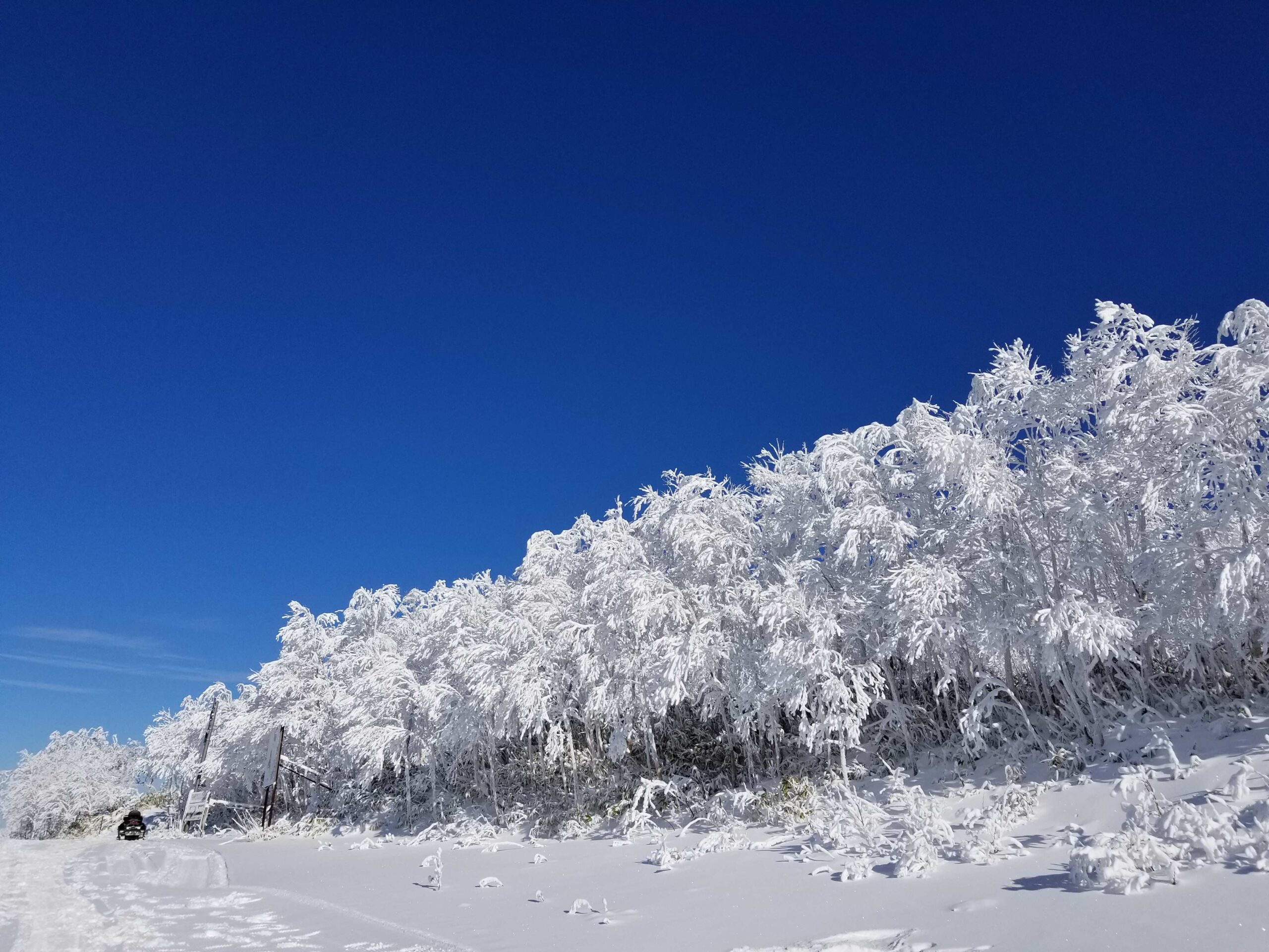 カムイスキーリンクス
