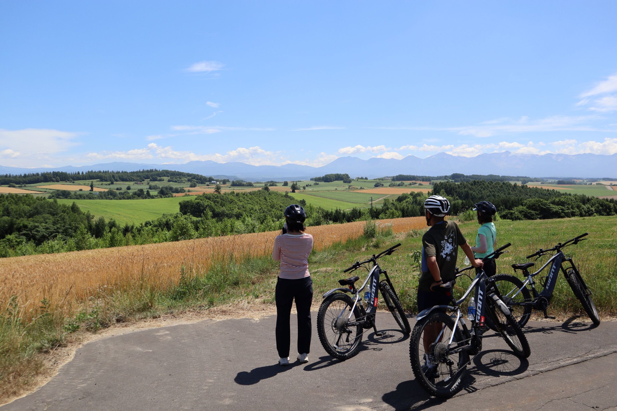 自転車でめぐる美瑛の丘コース