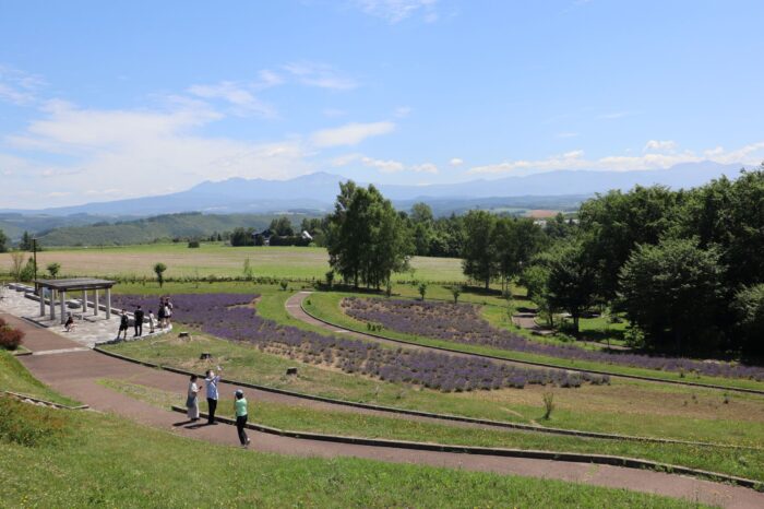 北西の丘展望公園