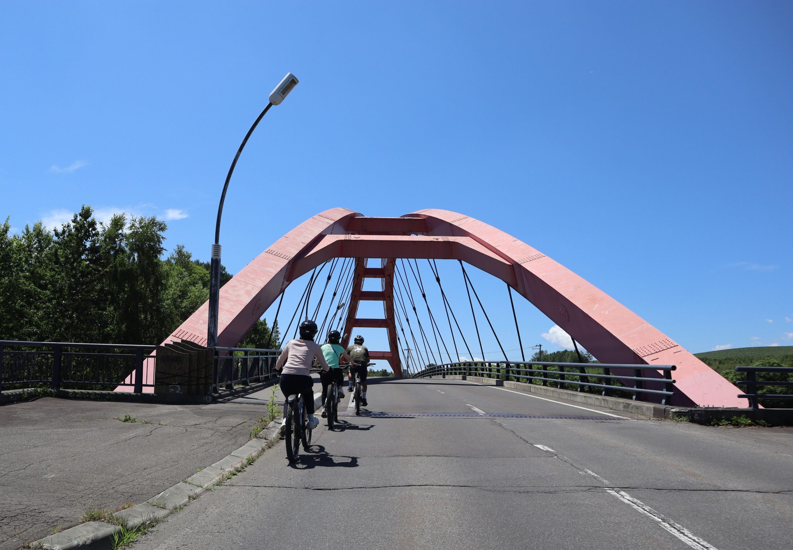 自転車でめぐる美瑛の丘コース