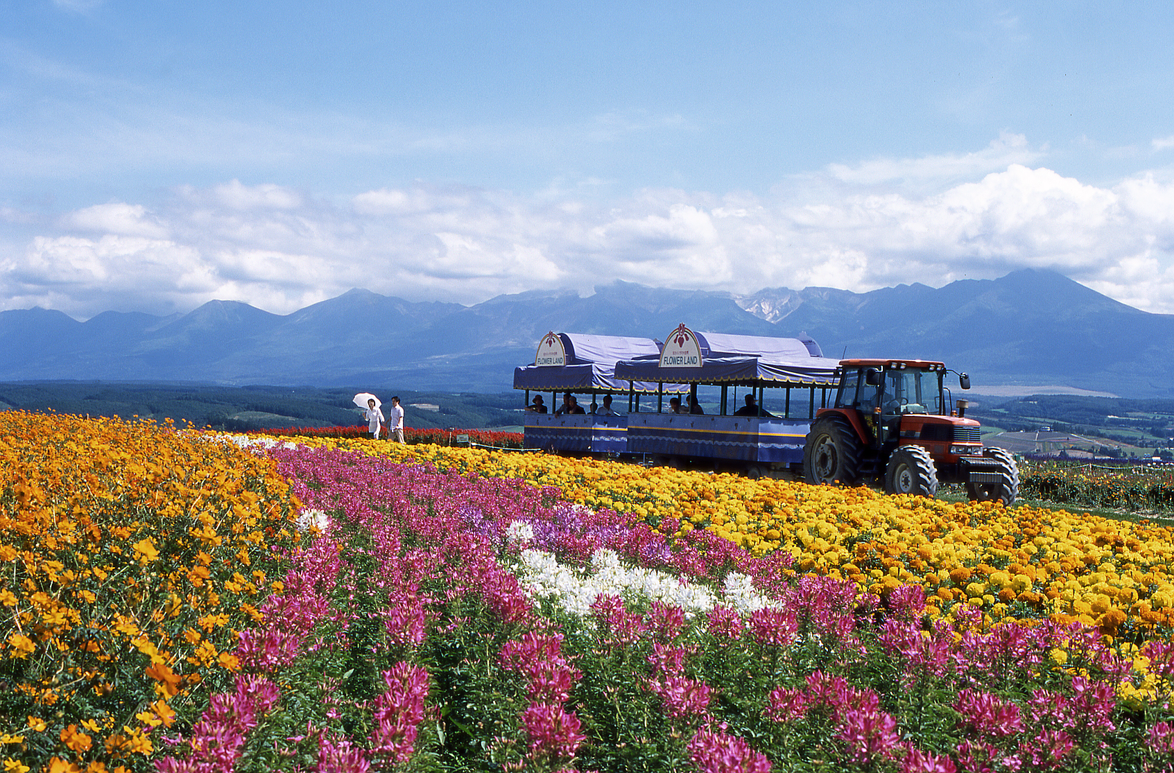 フラワーランドかみふらの