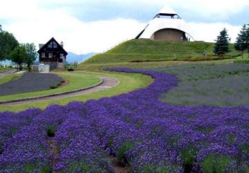 北西の丘展望公園