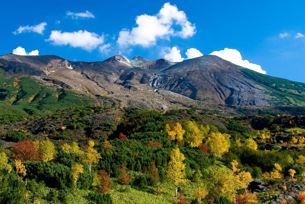 十胜岳山观景台