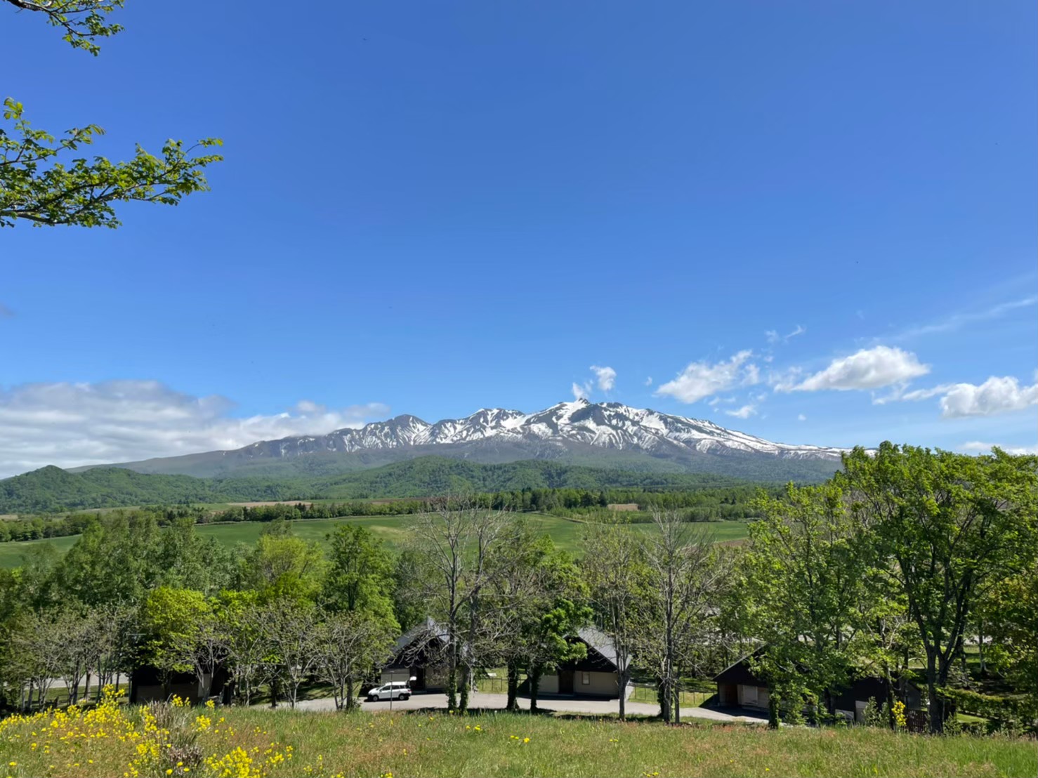 お花好き必見！大雪山・黒岳登山とガーデン散策2日間