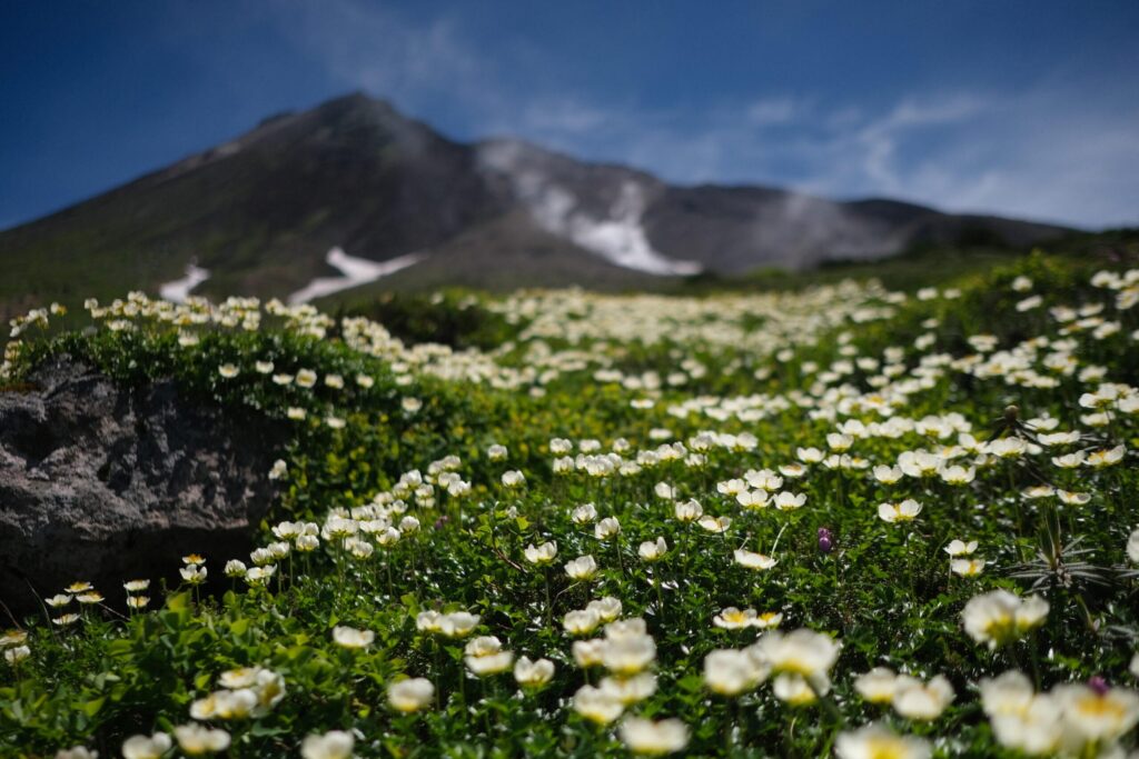 【Daisetsuzan National Park – Asahidake】Mt.Asahidake Sugatami-no-Ike Hiking tour