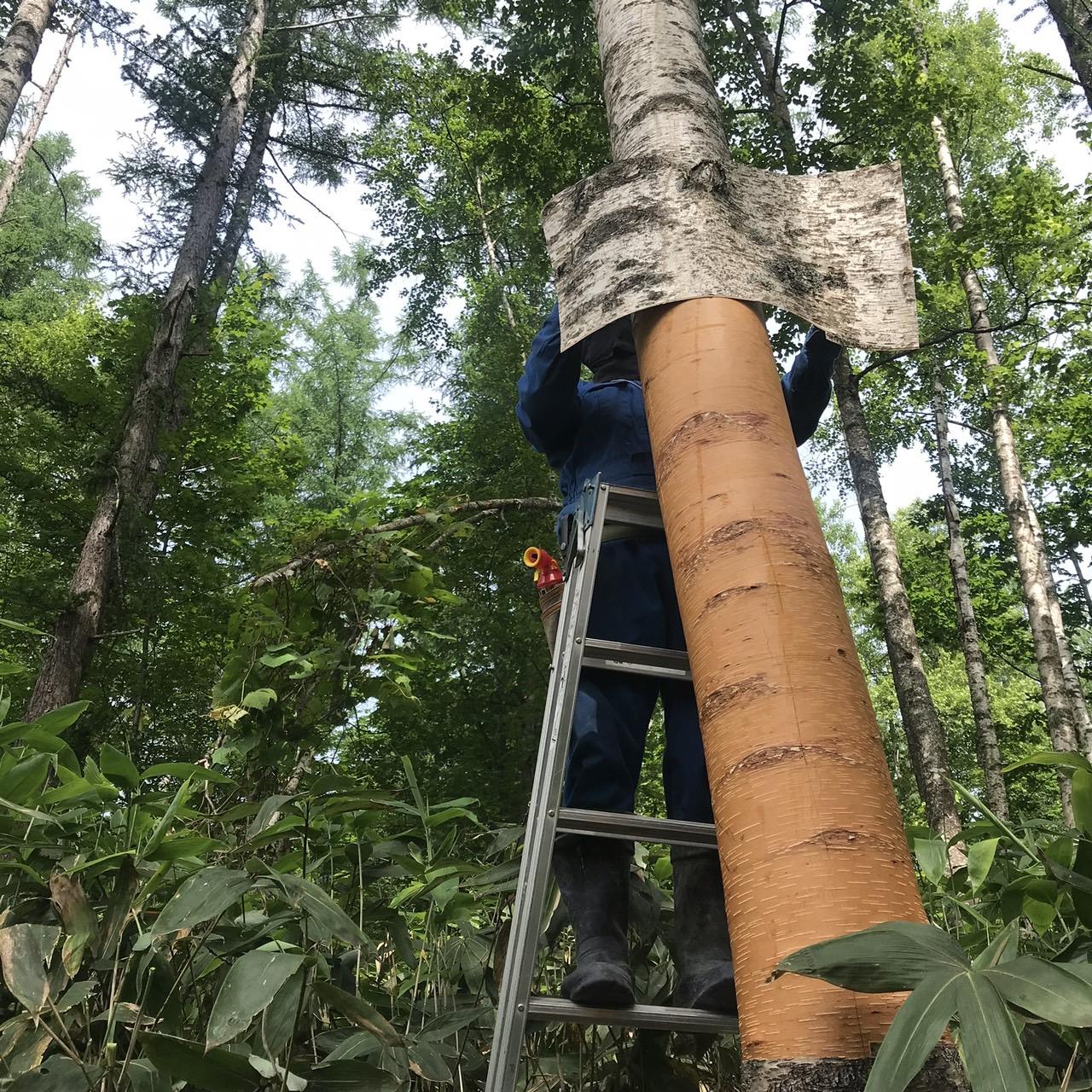 【愛別・ハンドメイド】白樺の樹皮を使ったアクセサリー作り体験