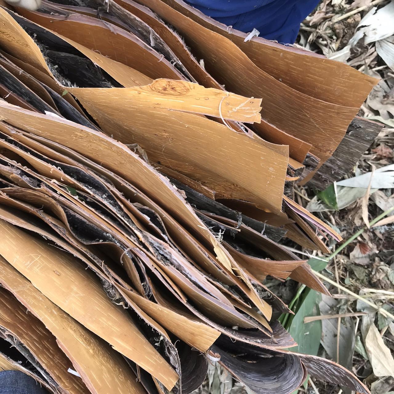 【愛別・ハンドメイド】白樺の樹皮を使ったアクセサリー作り体験