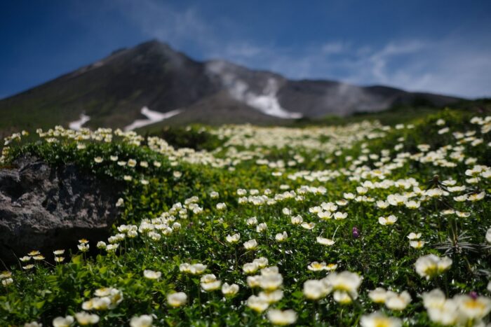 大雪山旭岳姿見の池