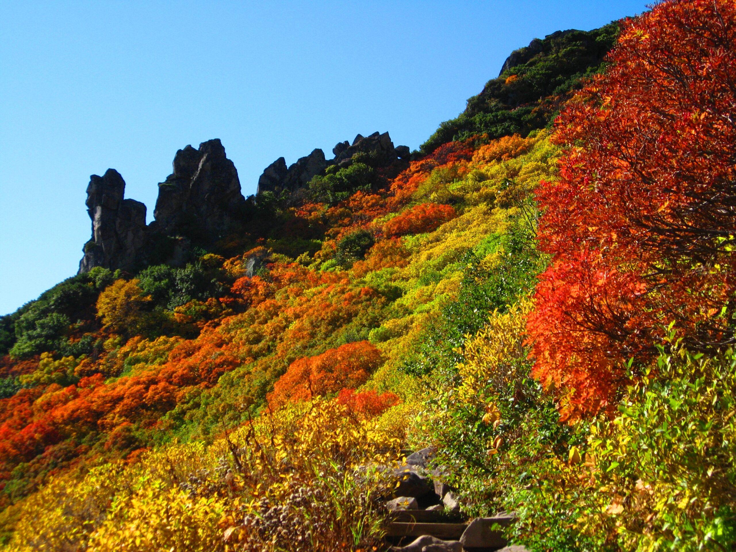 【Daisetsuzan National Park – Sounkyo】Mt.Kurodake Hiking tour