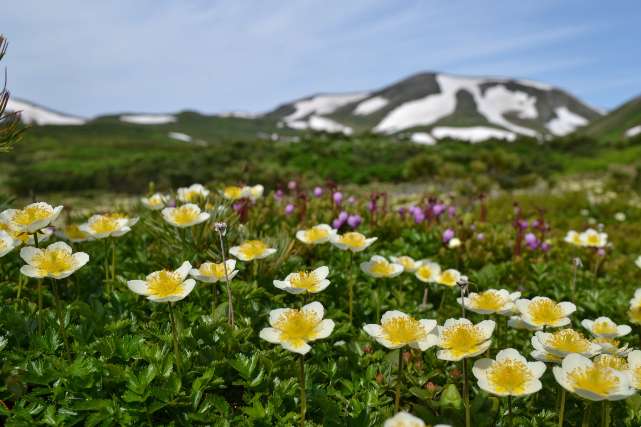 大雪山層雲峡・黒岳ロープウェイ＆リフト