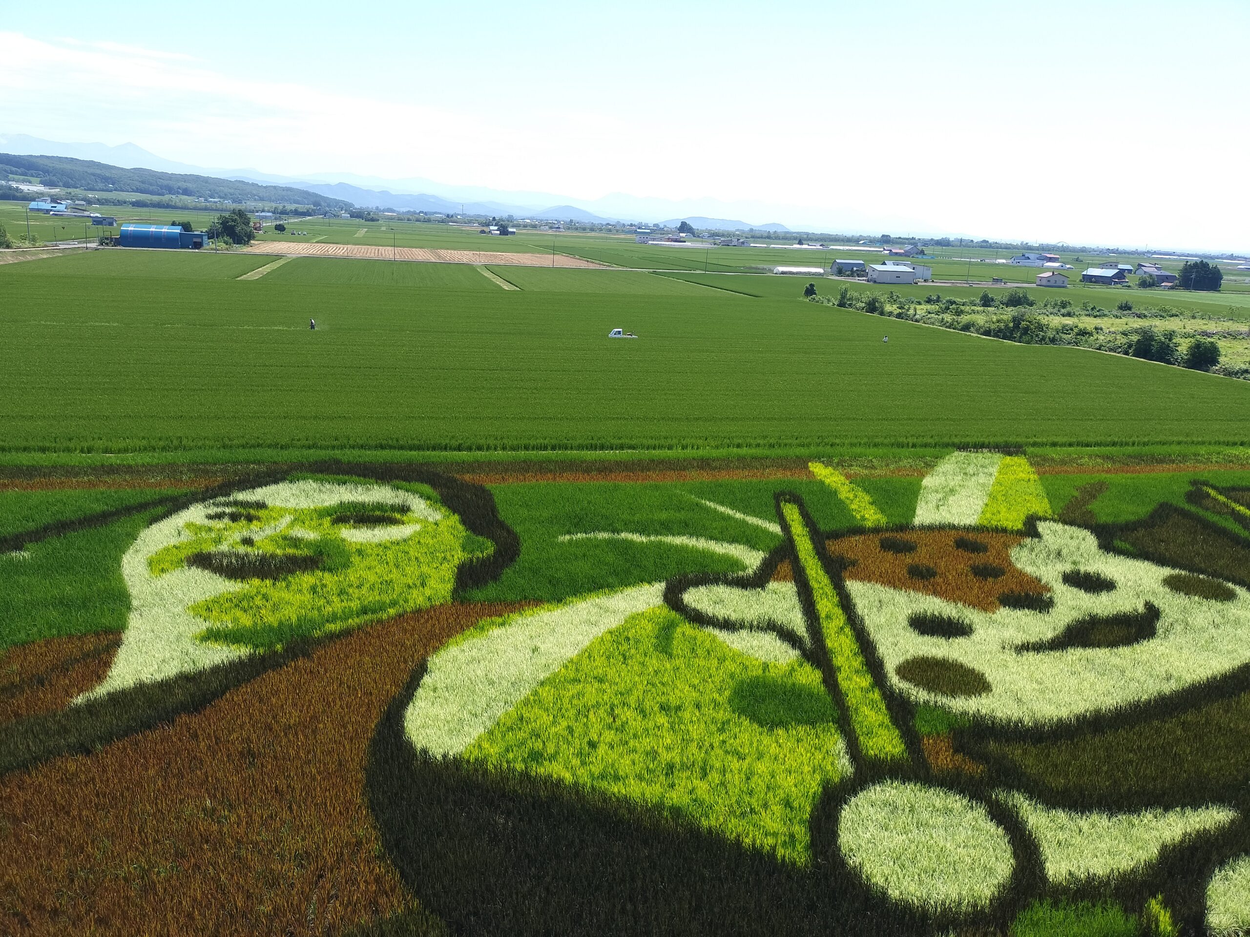 【Cycling】Hokkaido’s leading rice spot, Takasu Town, and rice fields “Rural Ride” cycling guide tour