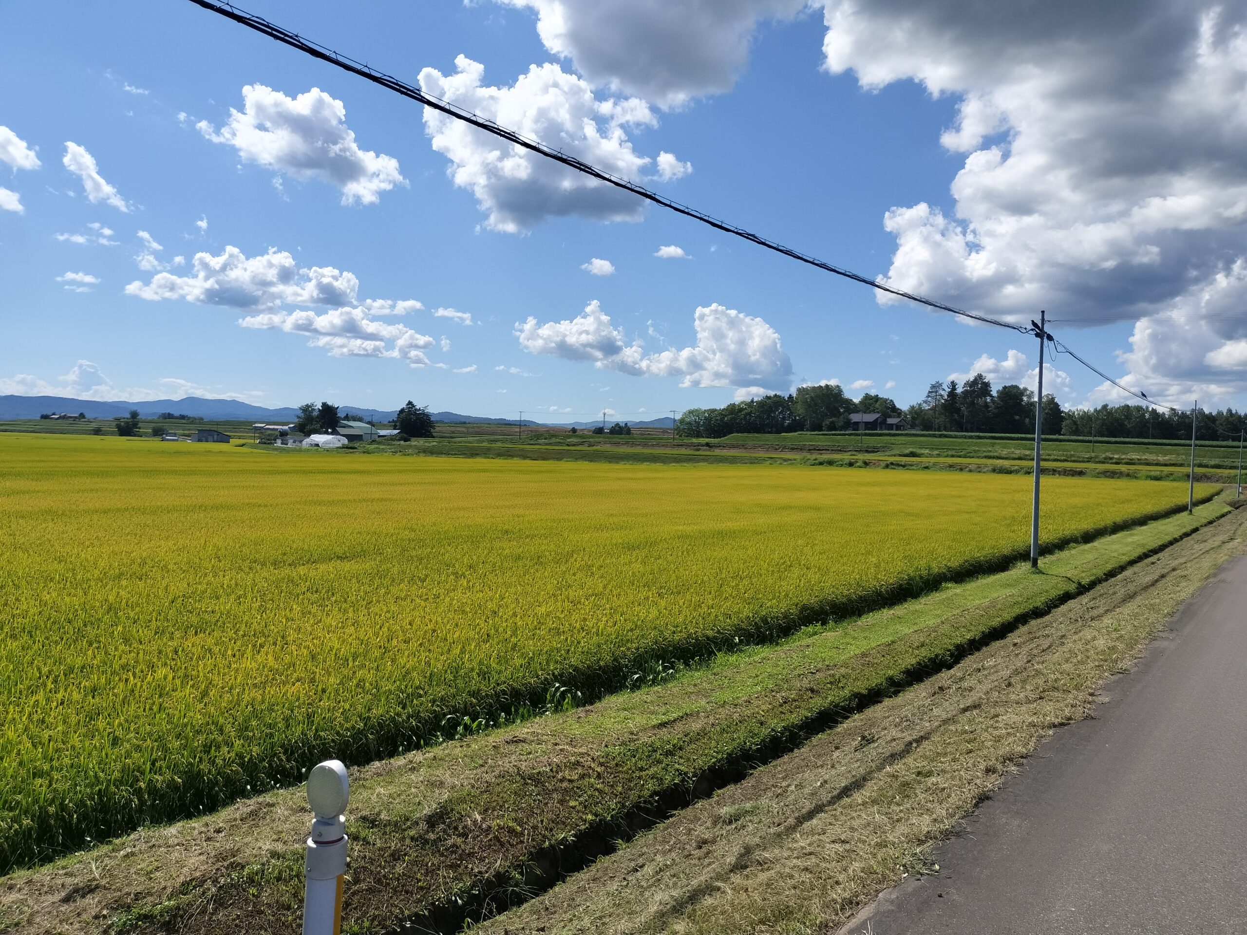 【Cycling】Hokkaido’s leading rice spot, Takasu Town, and rice fields “Rural Ride” cycling guide tour