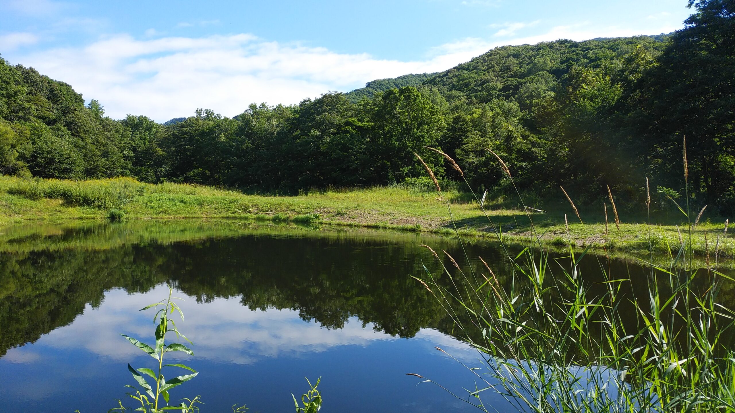 にじます工房 ぴっぷの釣り堀
