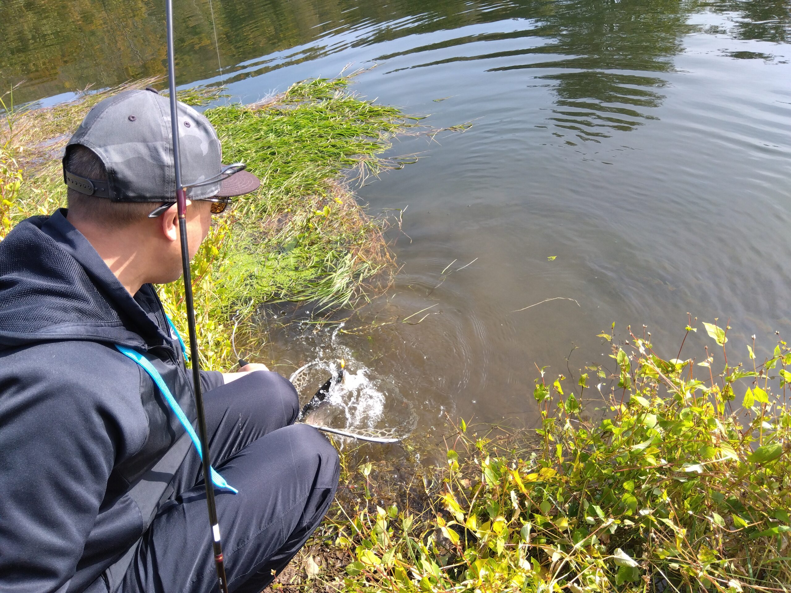 にじます工房 ぴっぷの釣り堀