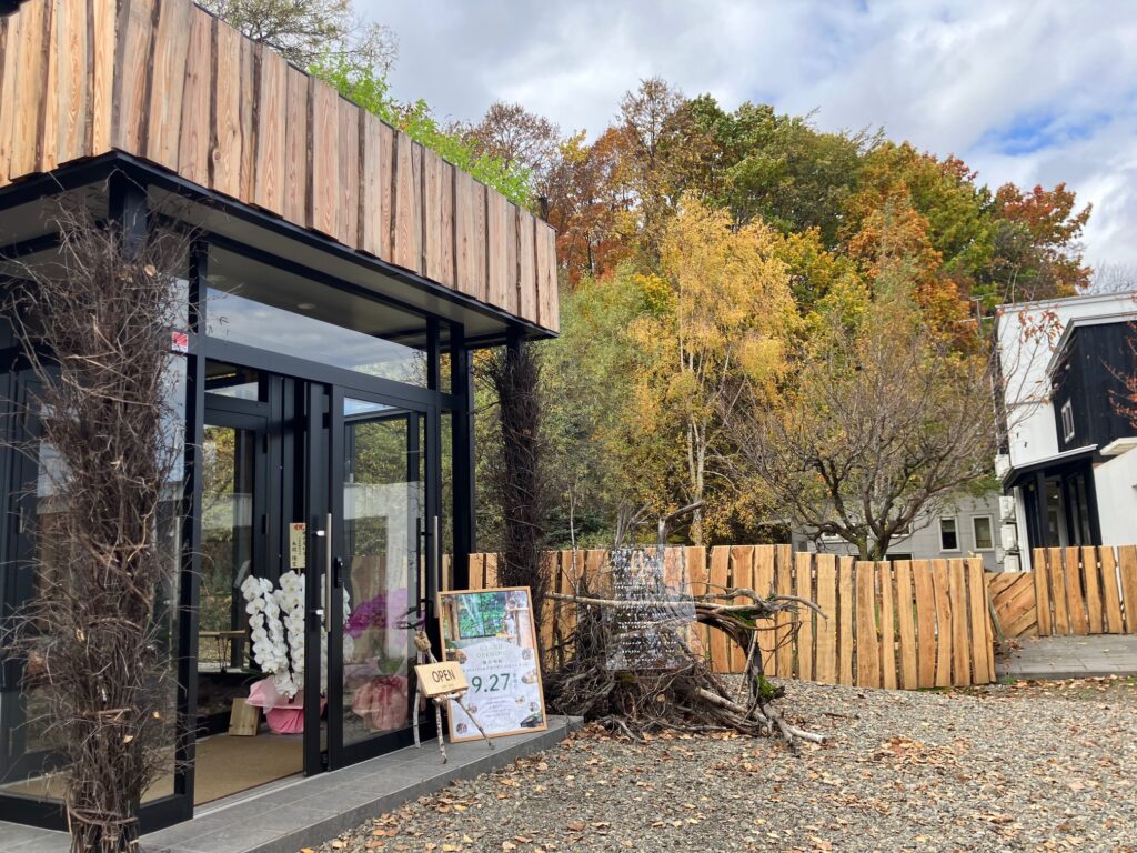 하룬 느릅나무 포포