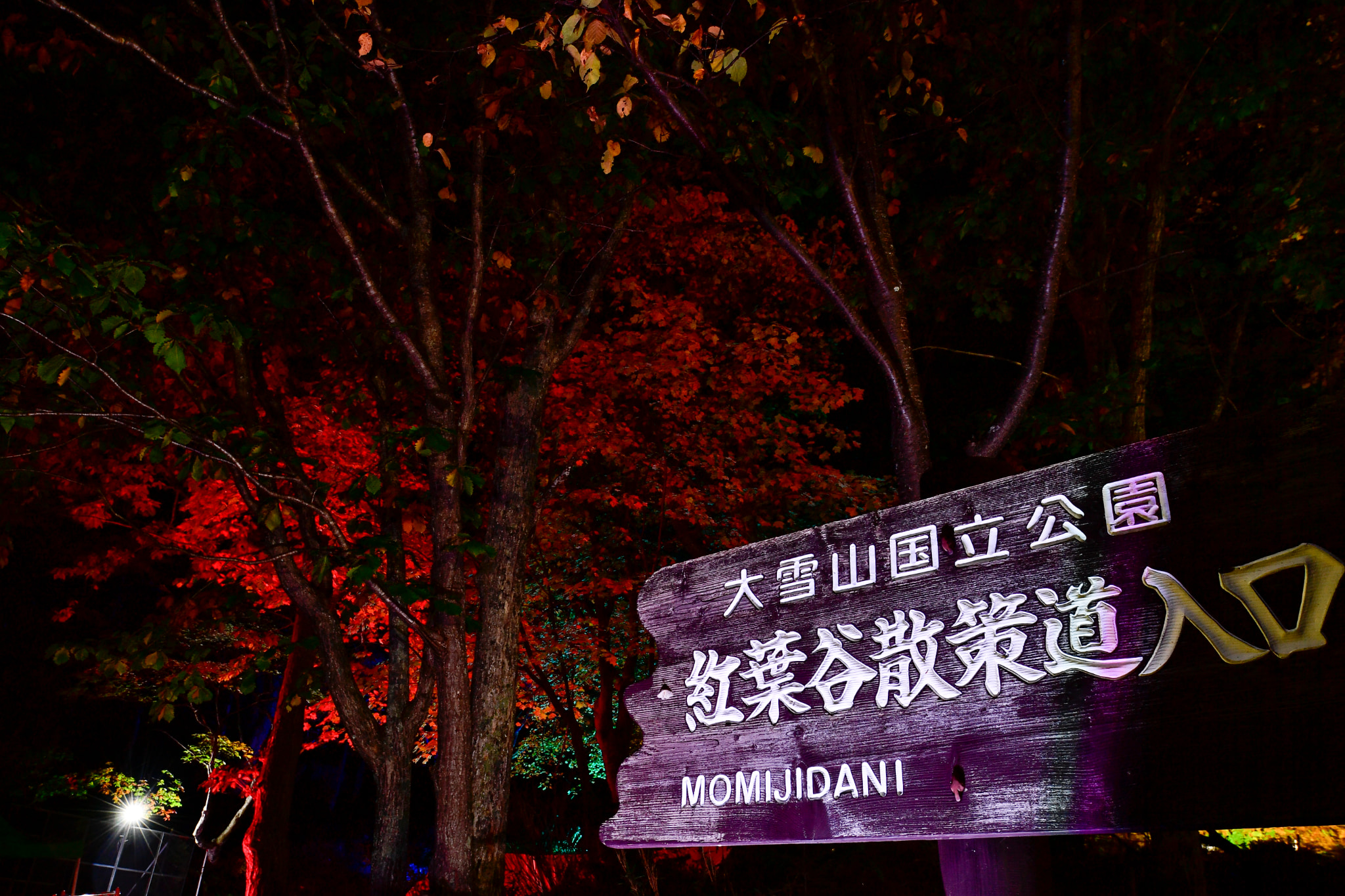 奇跡のイルミネート