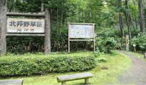 矢印の方向へ。トレッキング（展望台まで片道約30分）